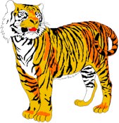 tigre