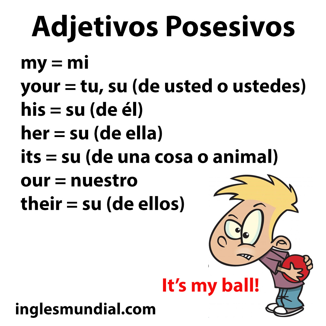 adjetivos posesivos infografía