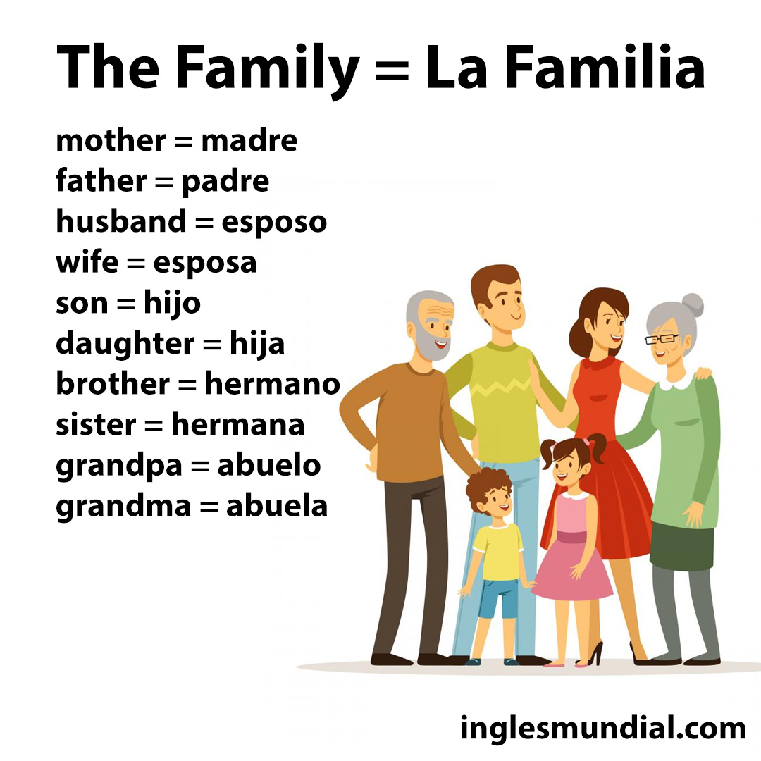 familia infografía