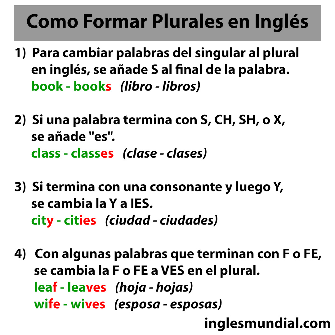 plurales infografía